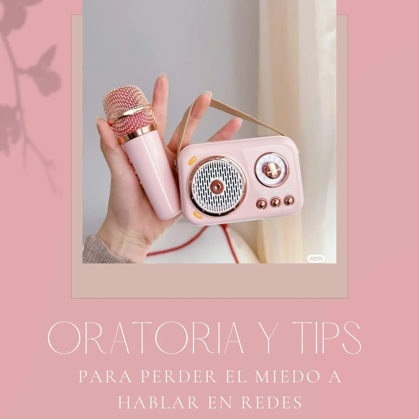 Oratoria & Tips para hablar en redes