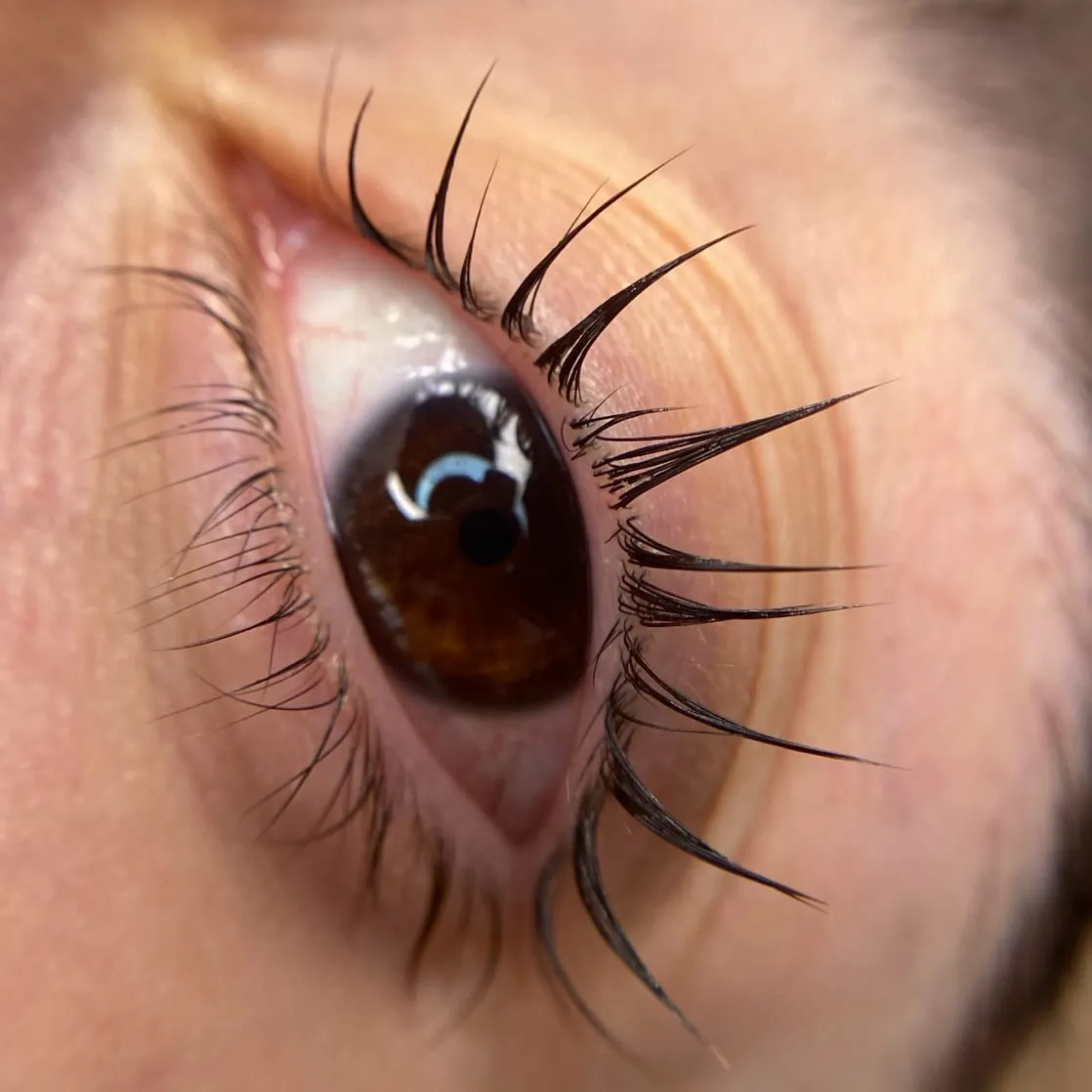 Curso de Lifting y Laminado de cejas(inicial)