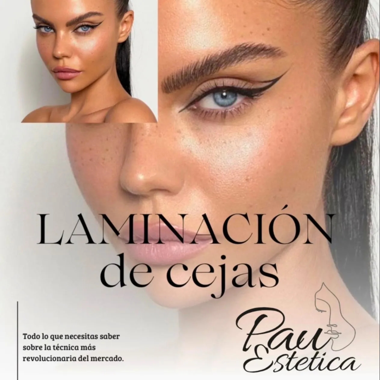 CURSO LAMIBROWS pdf