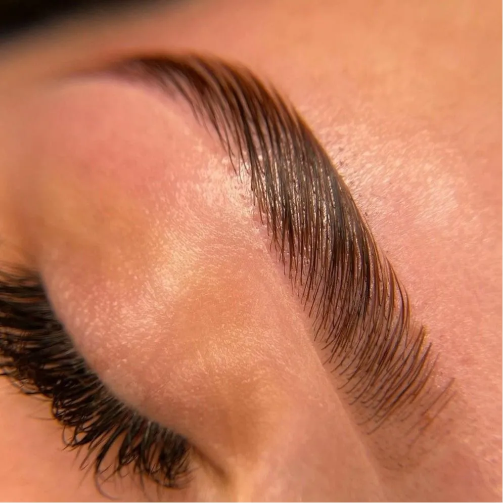 CURSO LAMIBROWS pdf