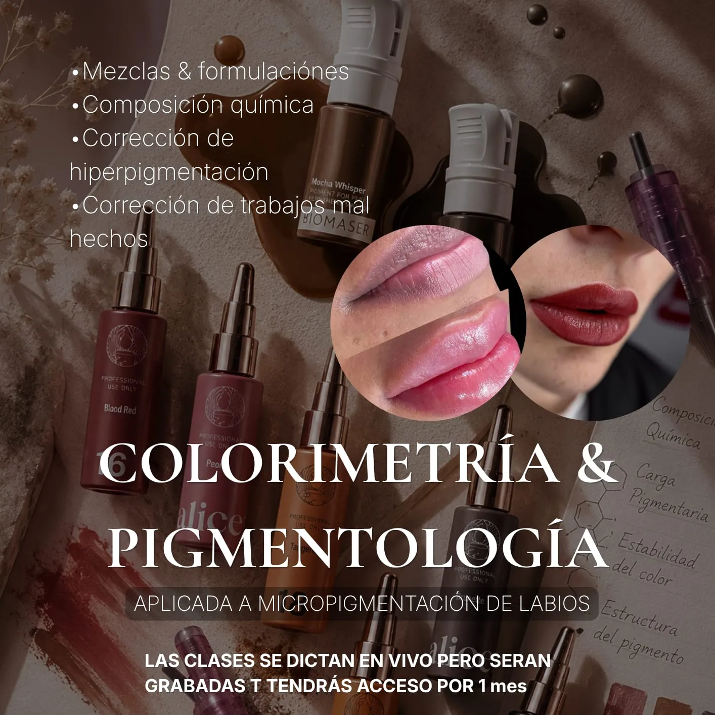 Módulos colors lips 