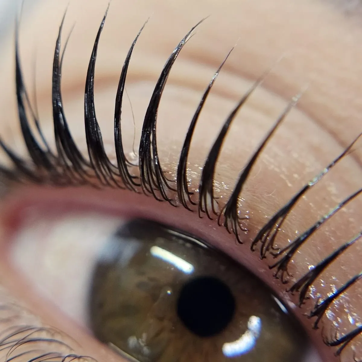 CURSO LASH LIFTING-TÉCNICA COREANA pdf