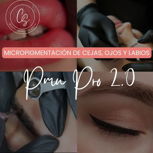 PMU PRO 2.0 