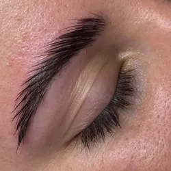 LAMINADO DE CEJAS 