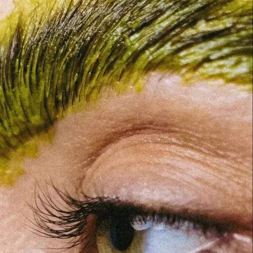 02- SESION ESTILISMO + ORGANIC.  Correcciones y Organic Brow.