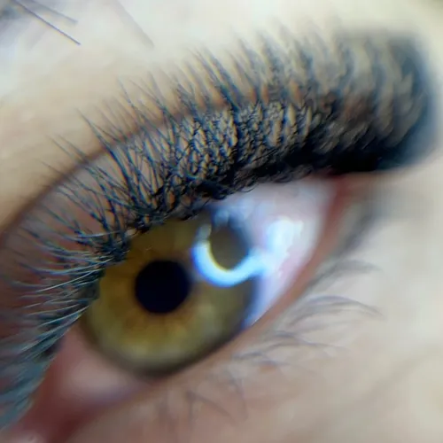 Volumen Tecnológico 4D