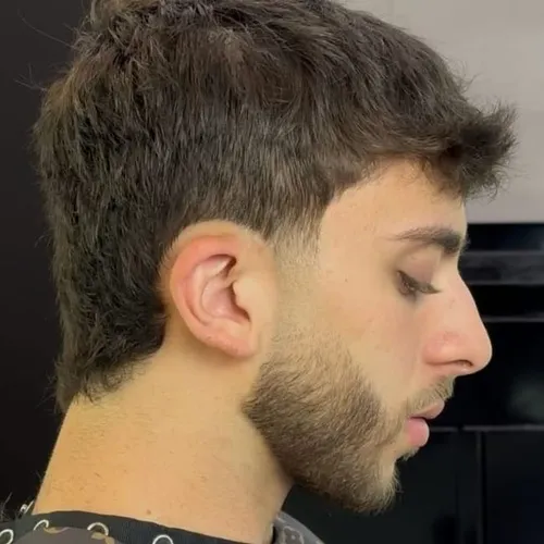 Barba