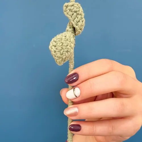 Día de chicas (todos los servicios de Cande Nails)