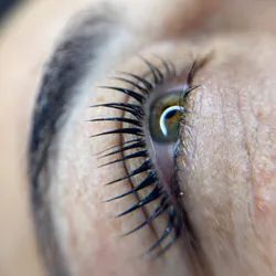 Lashlifting Avanzado ✨ 