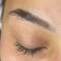 Lamibrows (solo laminado) 