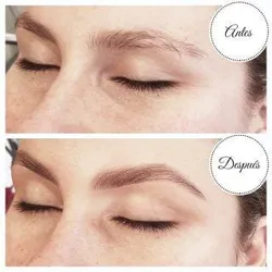 PERFILADO COLOR ( cejas : Diseño y perfilado + henna color )
