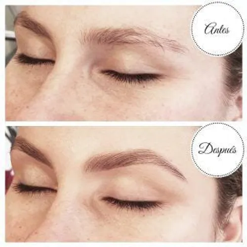PERFILADO COLOR ( cejas : Diseño y perfilado + henna color )