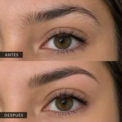 LIMPIEZA DE CEJAS