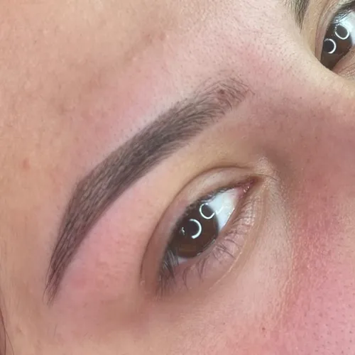 Diseño de cejas + perfilado + henna 