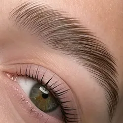 Diseño de cejas + perfilado + laminado 
