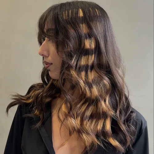 raccoon tail desde