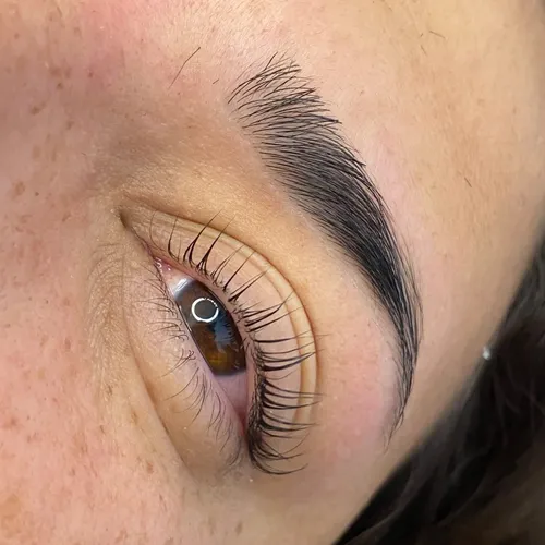 Perfilado de cejas clásico con PINZA 