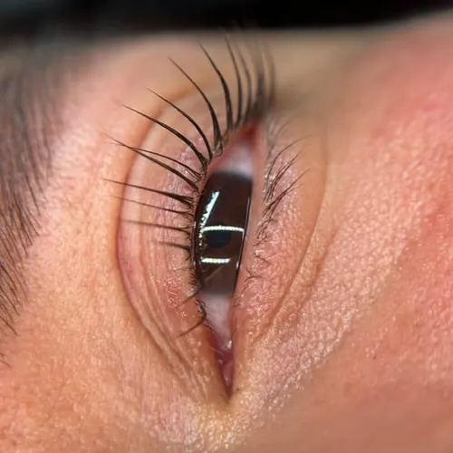 Basic Lash lifting
