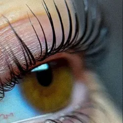 LASH LIFTING + BOTOX + KERATINA + TINTE