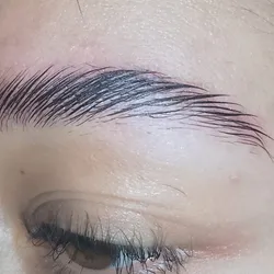 Laminado de cejas 