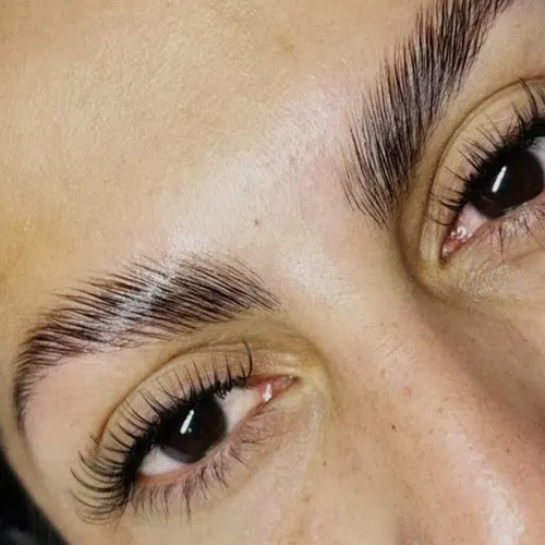 LAMINADO DE CEJAS +PERFILADO + NUTRICION
