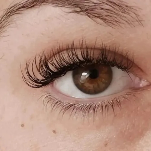 Extensiones de Clasicas