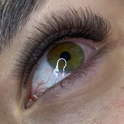 Colocación 5D