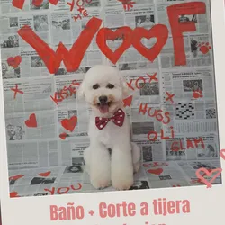 Baño y Corte a Tijera: perro chico