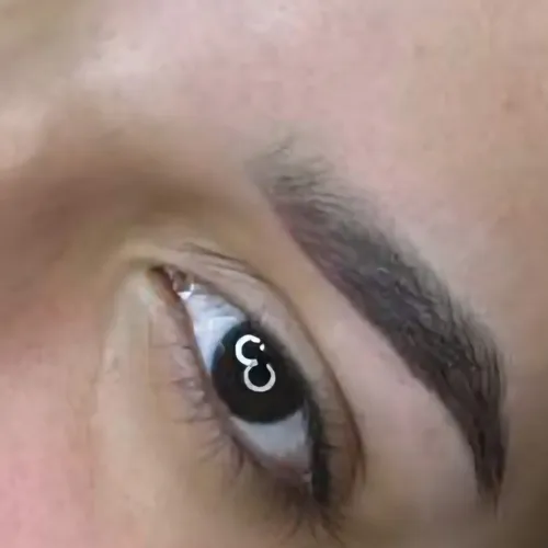 BBROWS 
