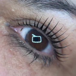 Lash lifting hidragloss