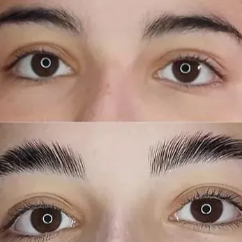 LAMINADO DE CEJAS