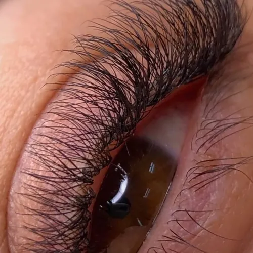 Pestañas Vol.Brasileño +Perfilado de cejas + bozo
