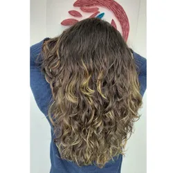 Refresh de rulos