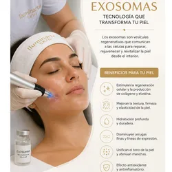 Exosomas 