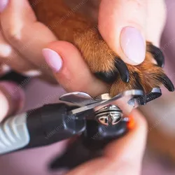Corte de Uñas Canino