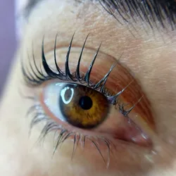 Lash Lifitng + Nutricion + tintura 