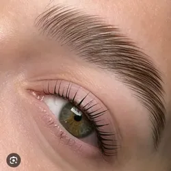 Laminado de Cejas + Nutrición 