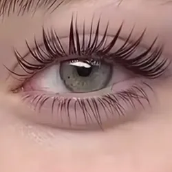 Lash Lifting 360