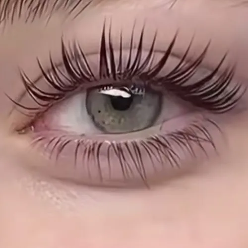 Lash Lifting 360