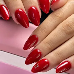 Kapping Gel-Poligel (liso) 