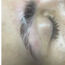 Laminado de cejas 