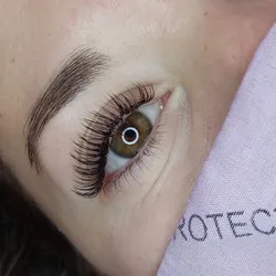 Extensiones clásicas 