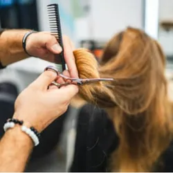 Corte