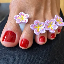 Belleza de pies - Esmalt. tradicional (Profesional Fran)