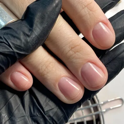 Manicuria masculina
