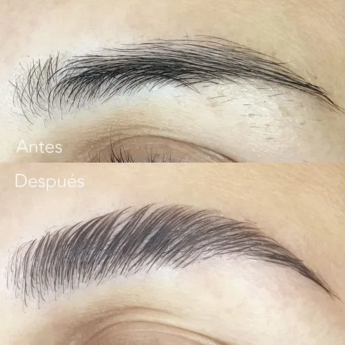 Perfilado & Laminado cejas