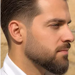 Corte y Barbar