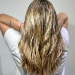 Mechas