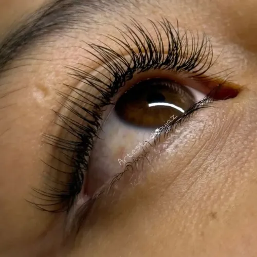 Clásicas Pelo por pelo, de Lashes Eipril