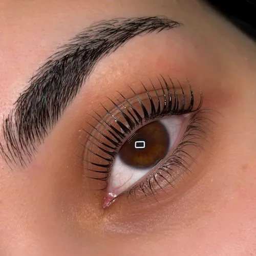 Laminado de Pestañas Browlash + Diseño y Perfilado de Cejas